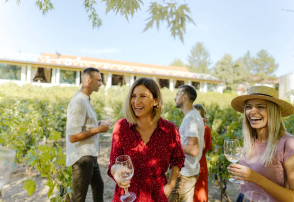The group in the vineyard